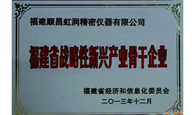 虹潤(rùn)躋身省級(jí)戰(zhàn)略性新興產(chǎn)業(yè)骨干企業(yè)